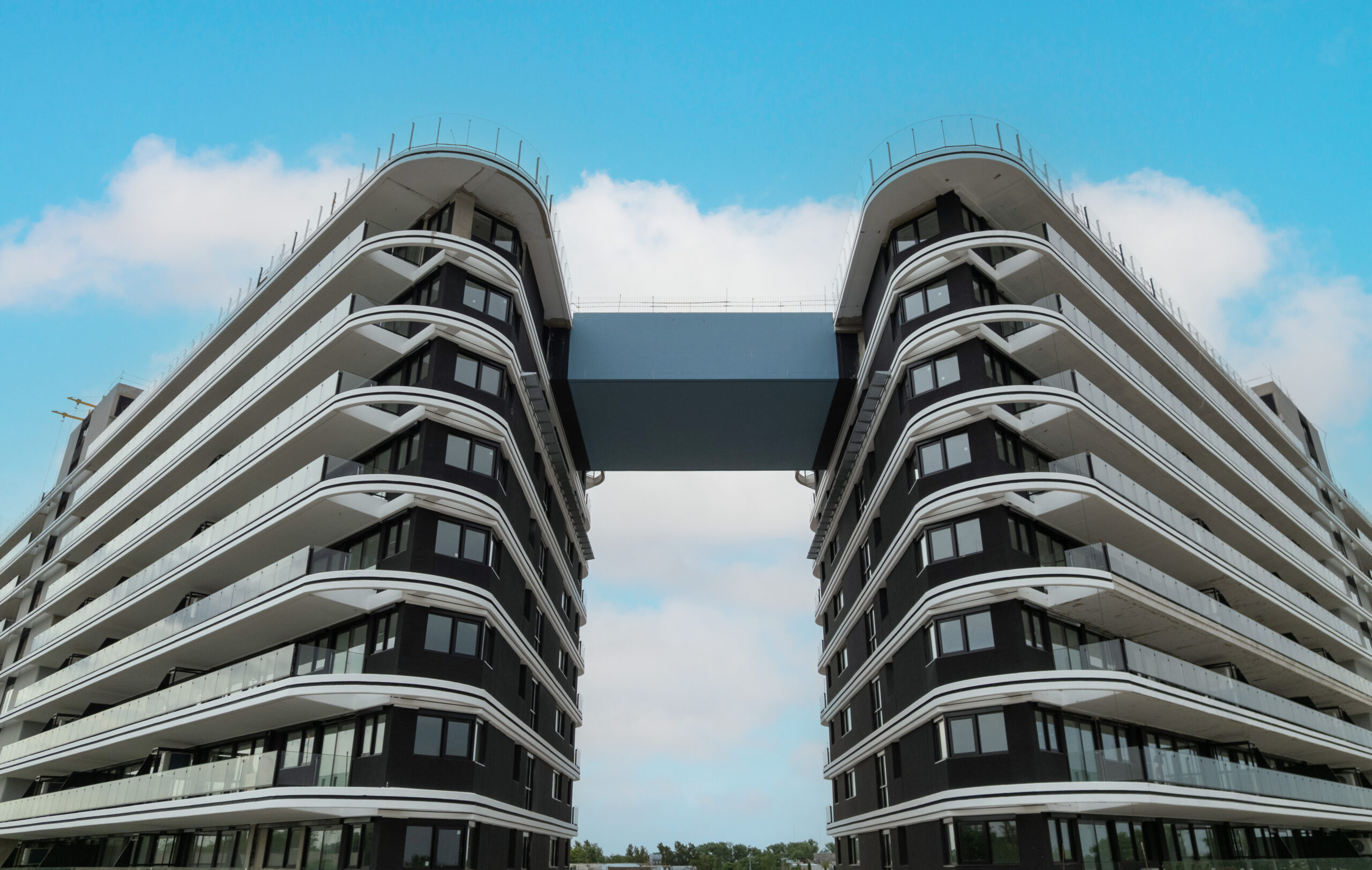 2025-12-11 Bliss I Relevo fotográfico N10-008 - B